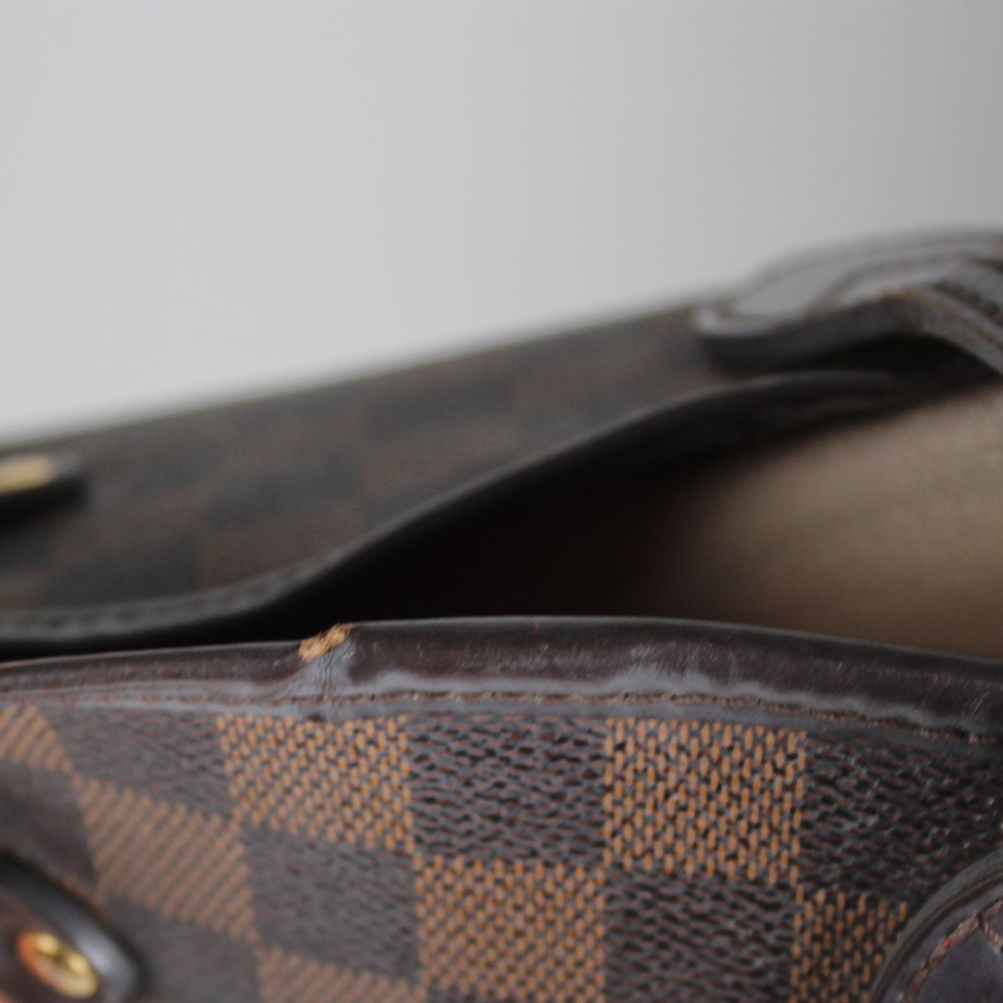 Neverfull GM