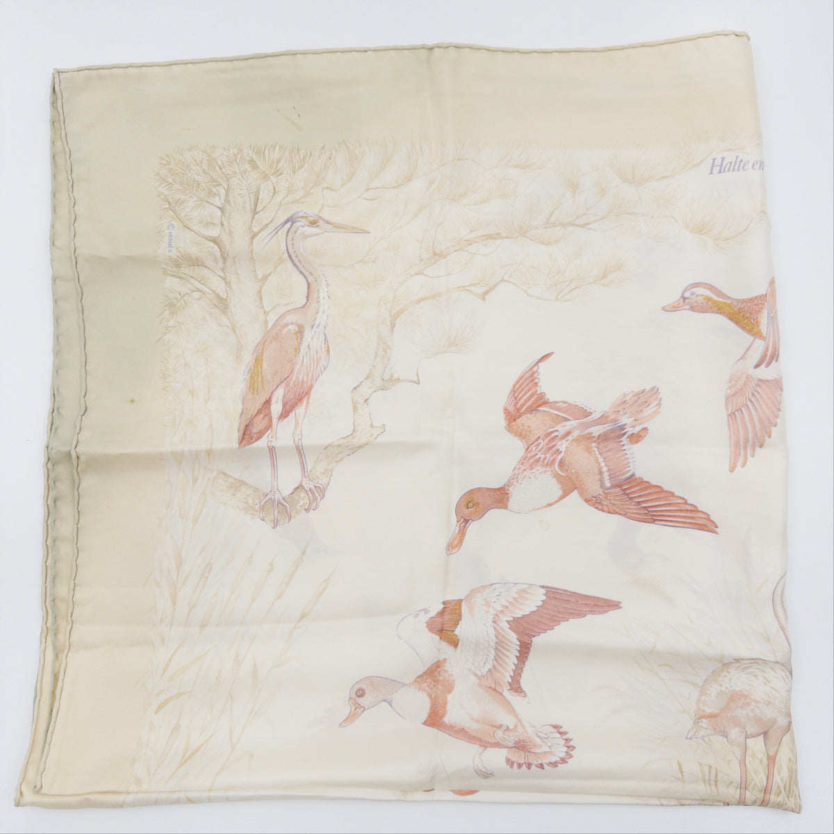 Pre-Owned Beige Birds Silk Scarf