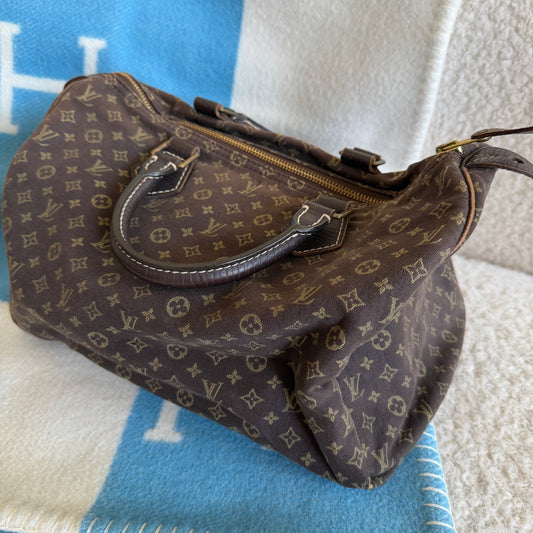Pre-Owned Brown Mini Lin Canvas Speedy Handbag