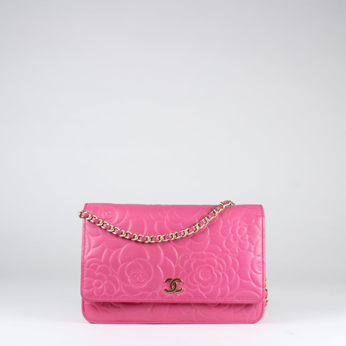 Camelia Wallet on Chain