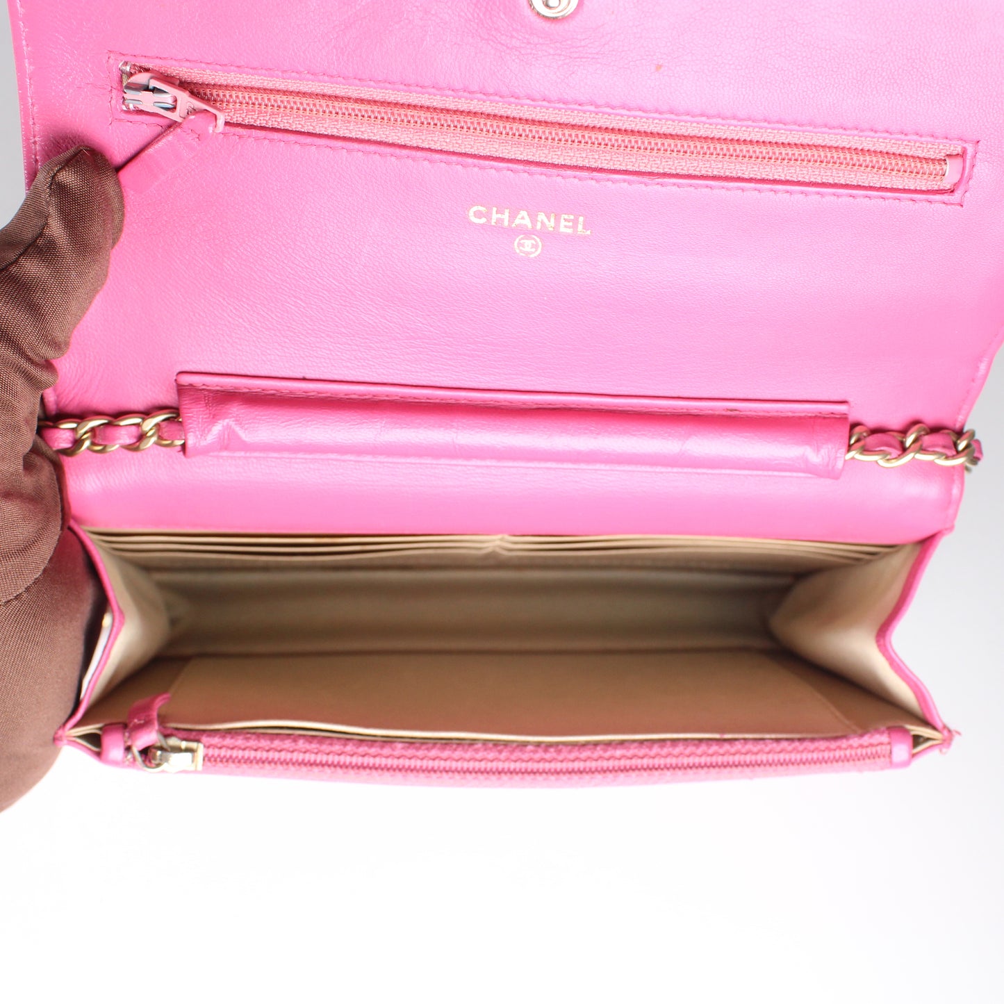 Camelia Wallet on Chain