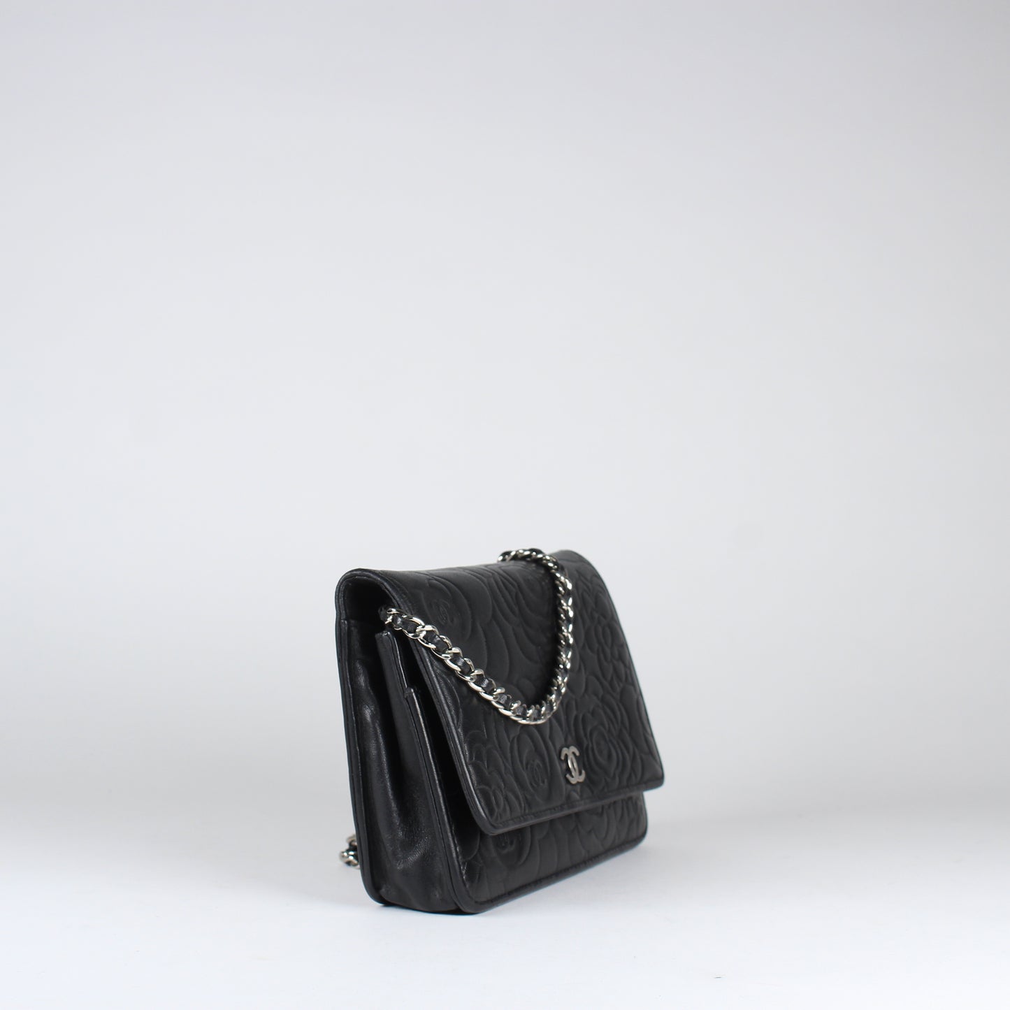 Camelia Wallet on Chain