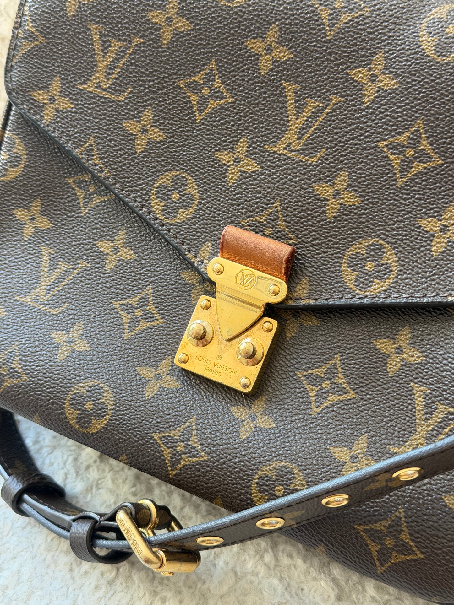 Monogram Canvas Pochette Metis