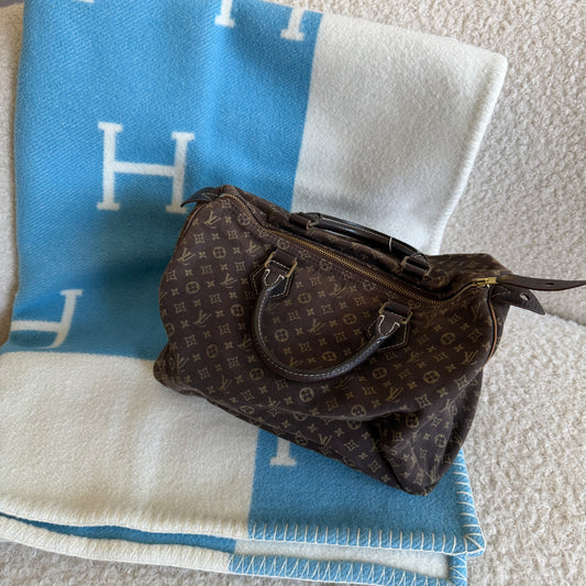 Pre-Owned Brown Mini Lin Canvas Speedy Handbag