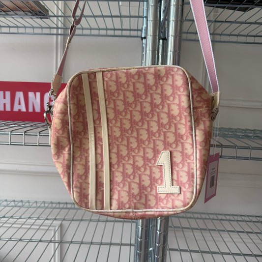 Pre-Owned Pink Trotter Coated Canvas Crossbody Bag