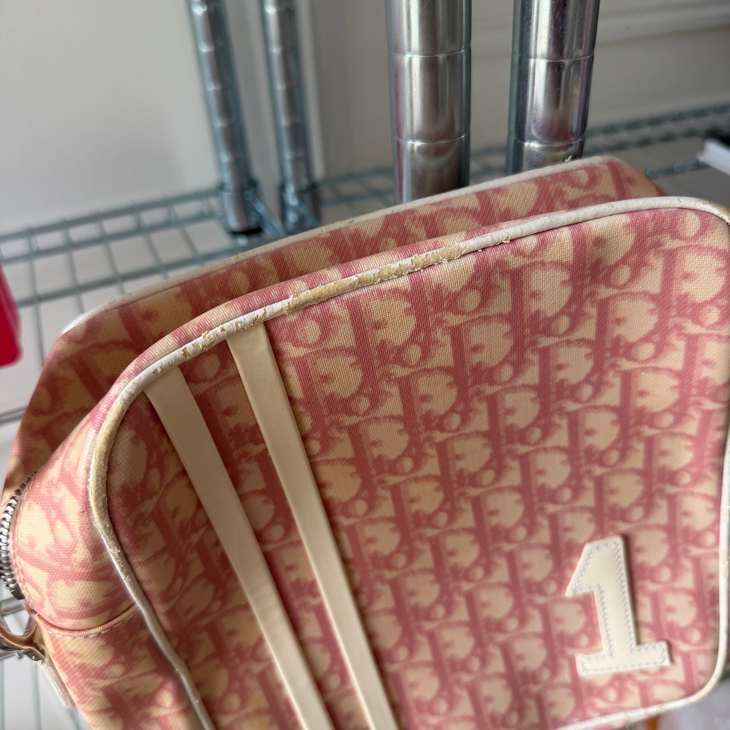 Pre-Owned Pink Trotter Coated Canvas Crossbody Bag